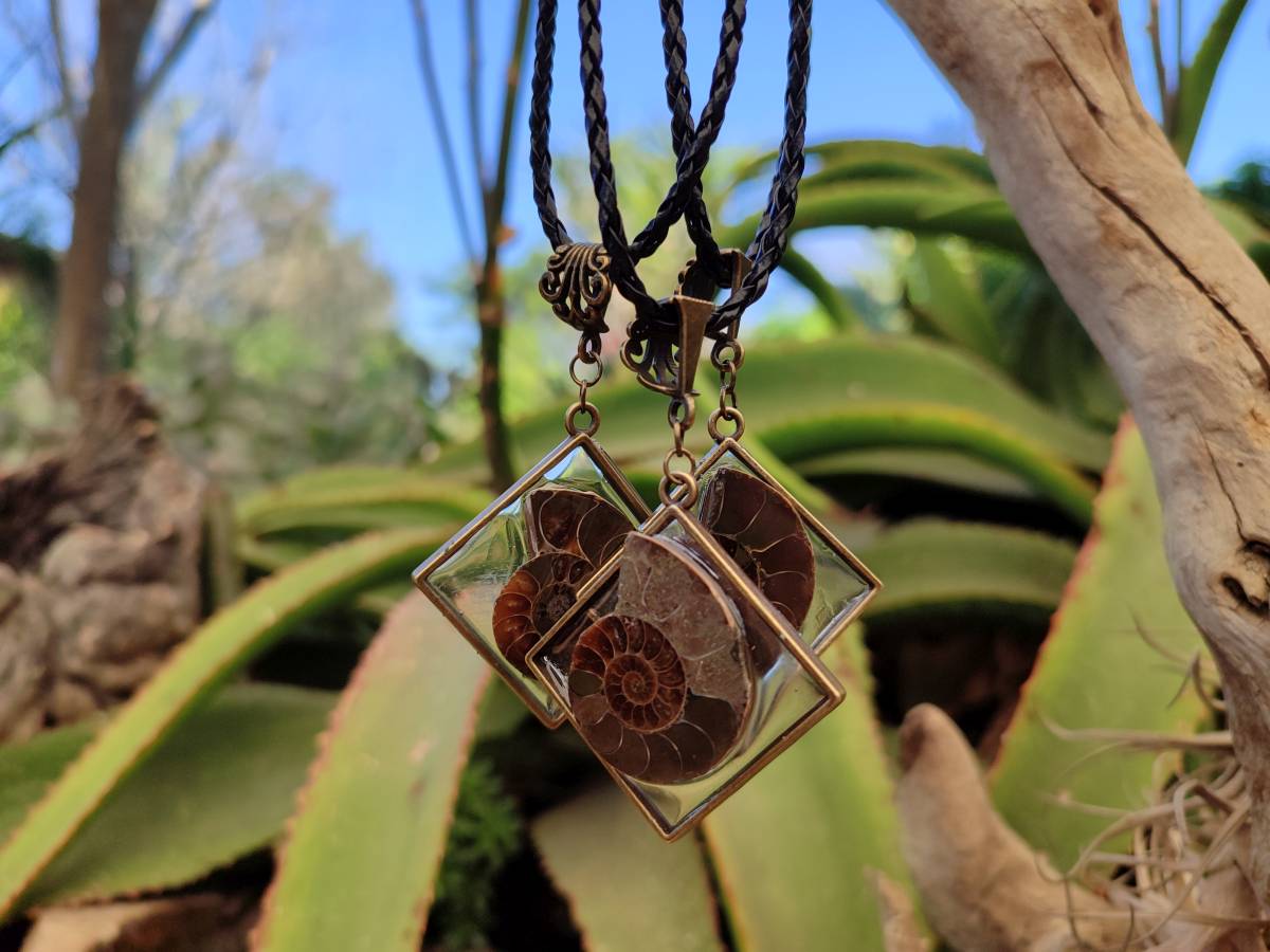 Hand Made Ammonite Pendants Set in Resin - Sold Per Item - From Southern Africa - Toprock Gemstones and Minerals 