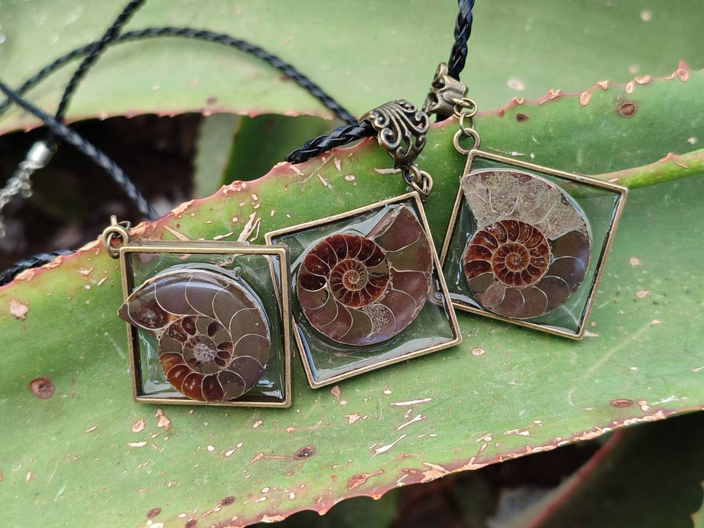 Hand Made Ammonite Pendants Set in Resin - Sold Per Item - From Southern Africa - Toprock Gemstones and Minerals 