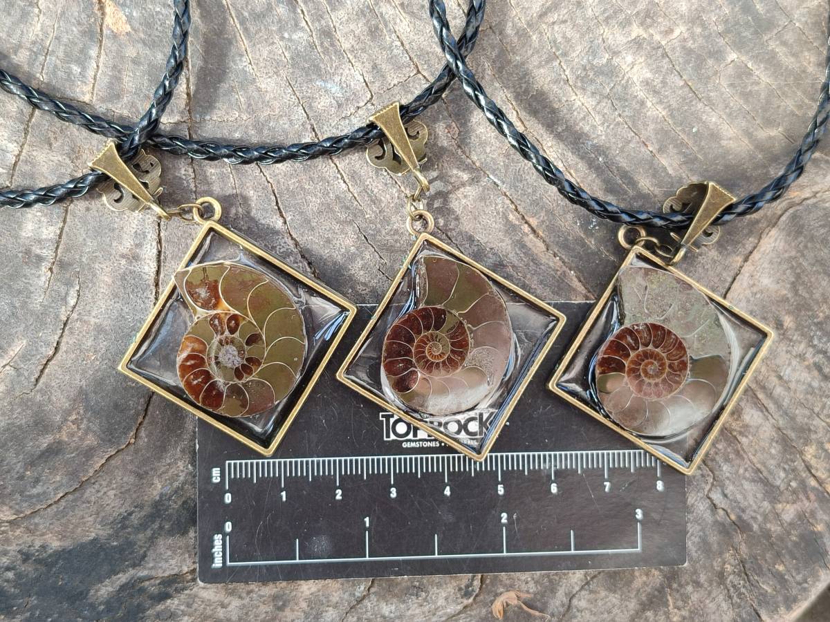 Hand Made Ammonite Pendants Set in Resin - Sold Per Item - From Southern Africa - Toprock Gemstones and Minerals 