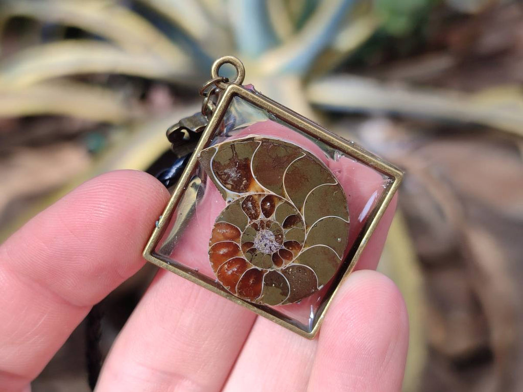 Hand Made Ammonite Pendants Set in Resin - Sold Per Item - From Southern Africa - Toprock Gemstones and Minerals 