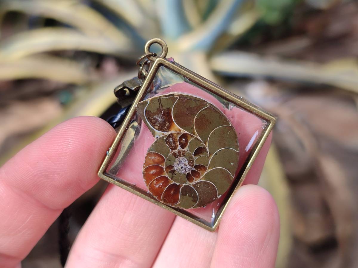 Hand Made Ammonite Pendants Set in Resin - Sold Per Item - From Southern Africa - Toprock Gemstones and Minerals 