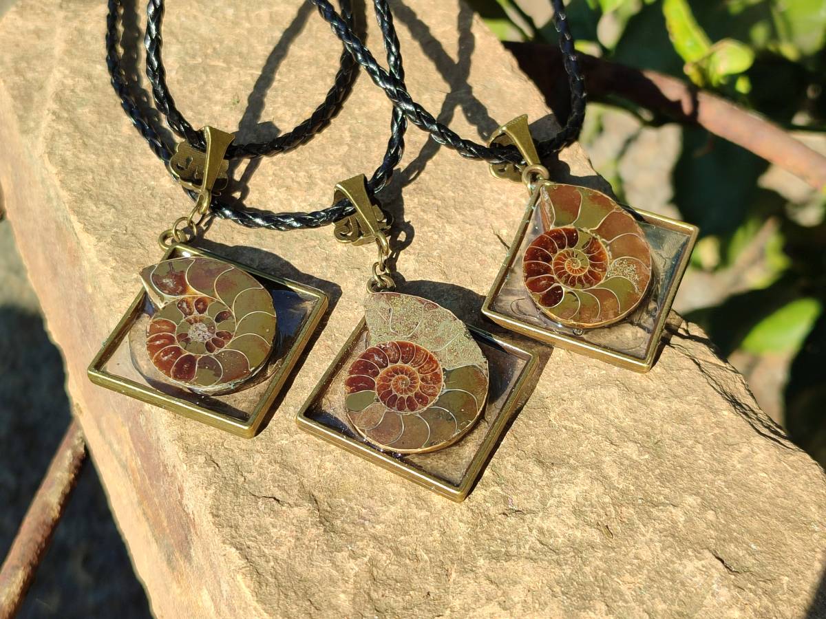 Hand Made Ammonite Pendants Set in Resin - Sold Per Item - From Southern Africa - Toprock Gemstones and Minerals 
