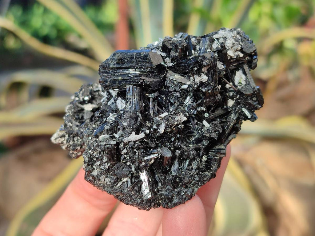 Natural Schorl Black Tourmaline Specimens x 6 From Erongo, Namibia - Toprock Gemstones and Minerals 