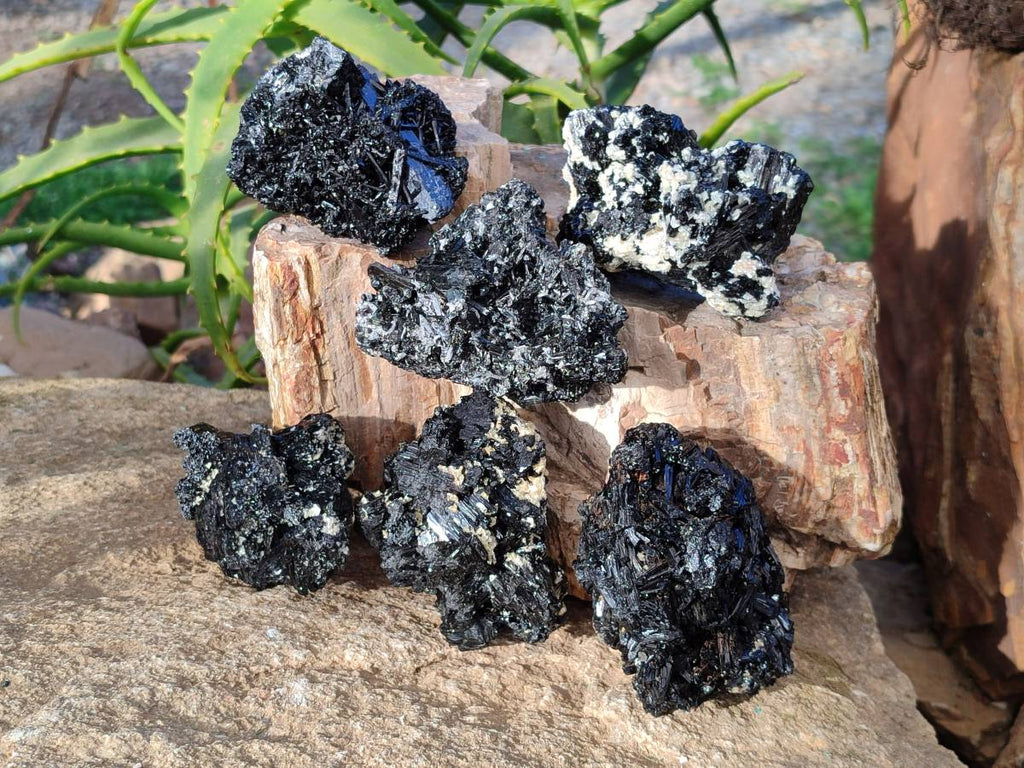 Natural Schorl Black Tourmaline Specimens x 6 From Erongo, Namibia - Toprock Gemstones and Minerals 