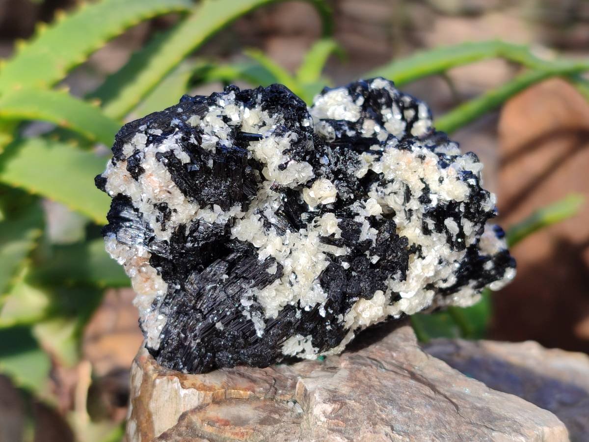 Natural Schorl Black Tourmaline Specimens x 6 From Erongo, Namibia - Toprock Gemstones and Minerals 