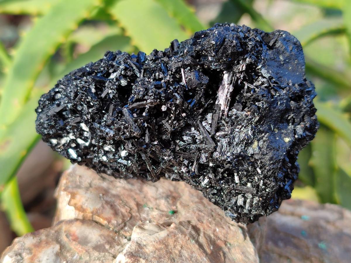 Natural Schorl Black Tourmaline Specimens x 6 From Erongo, Namibia - Toprock Gemstones and Minerals 