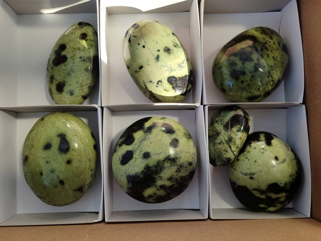 Polished Leopard Stone Palm Stones x 7 From Nyanga, Zimbabwe - Toprock Gemstones and Minerals 