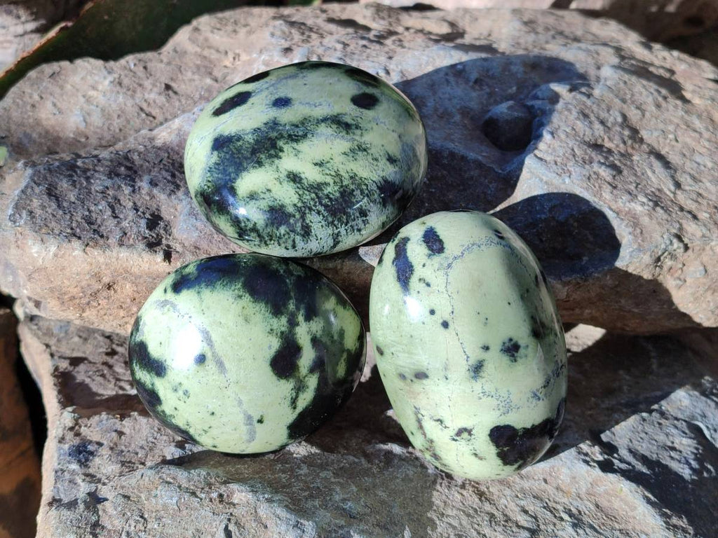 Polished Leopard Stone Palm Stones x 7 From Nyanga, Zimbabwe - Toprock Gemstones and Minerals 