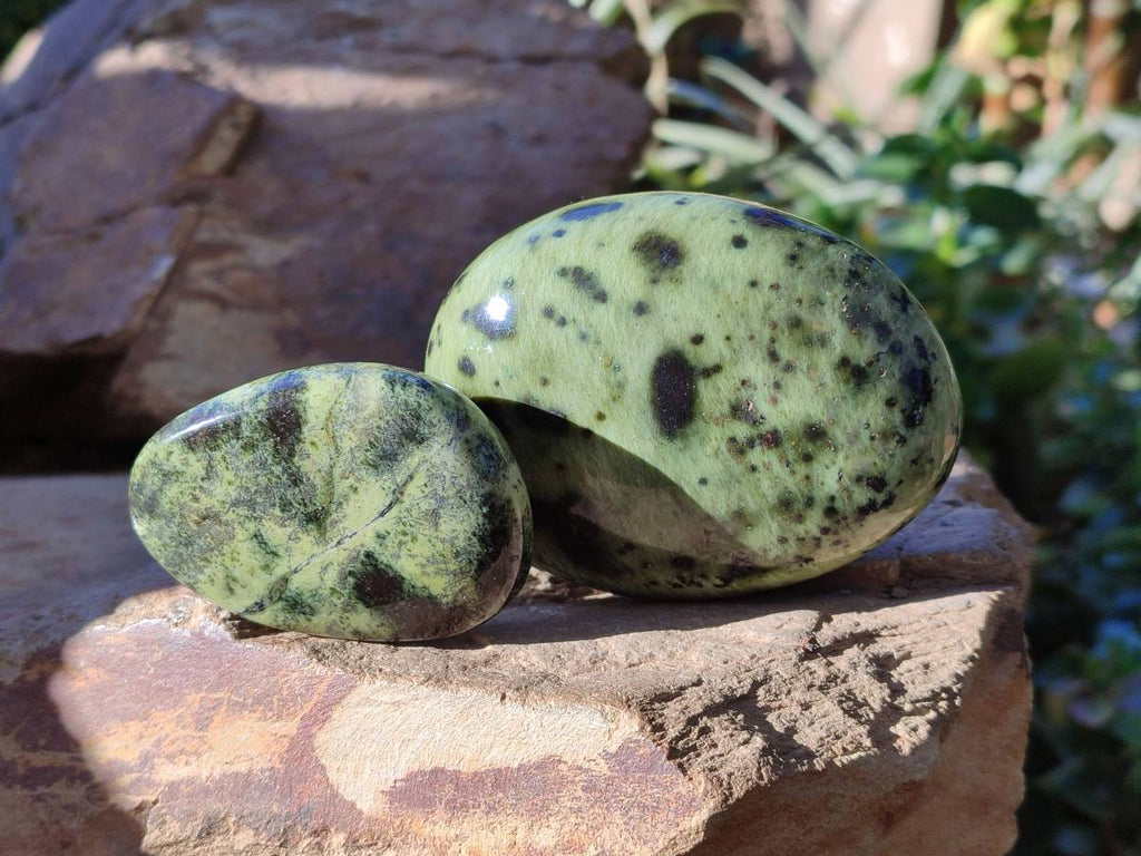 Polished Leopard Stone Palm Stones x 7 From Nyanga, Zimbabwe - Toprock Gemstones and Minerals 