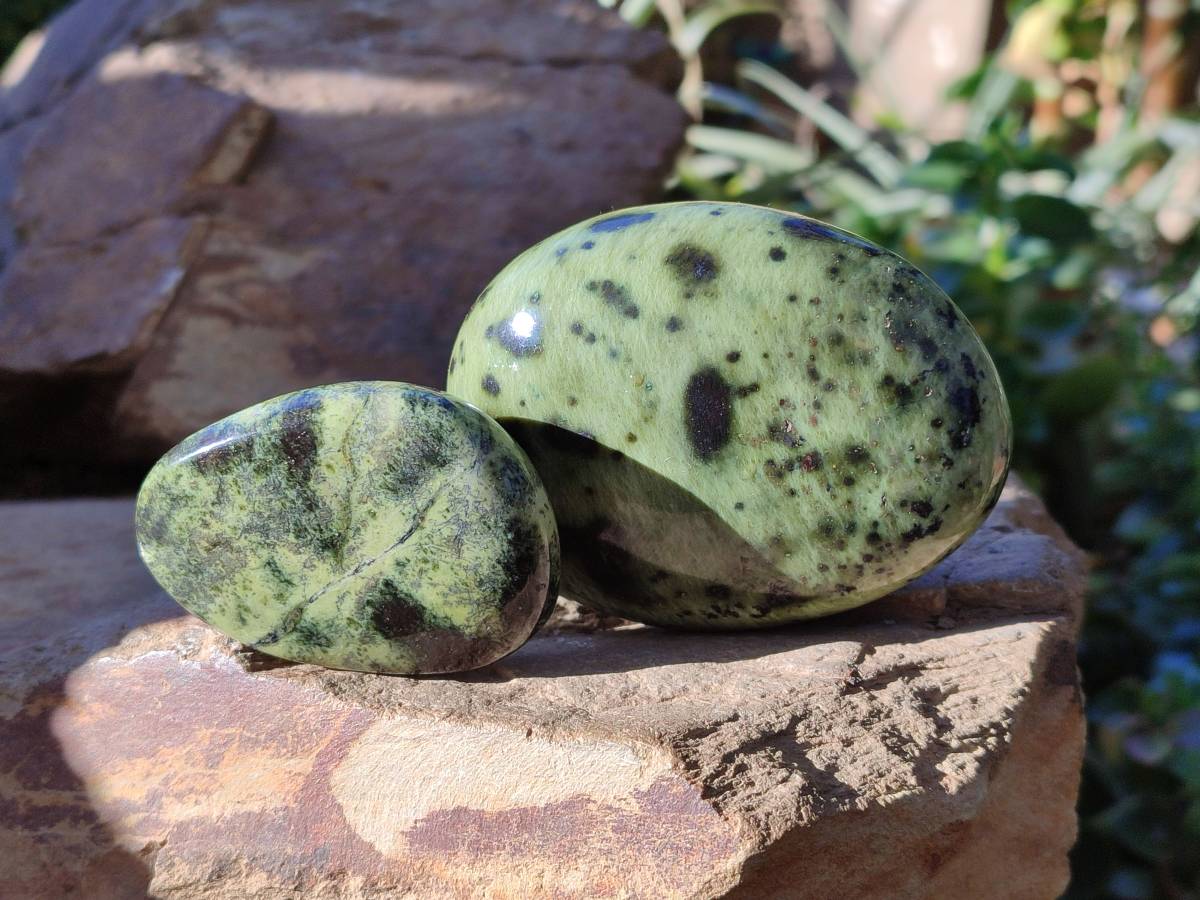 Polished Leopard Stone Palm Stones x 7 From Nyanga, Zimbabwe - Toprock Gemstones and Minerals 