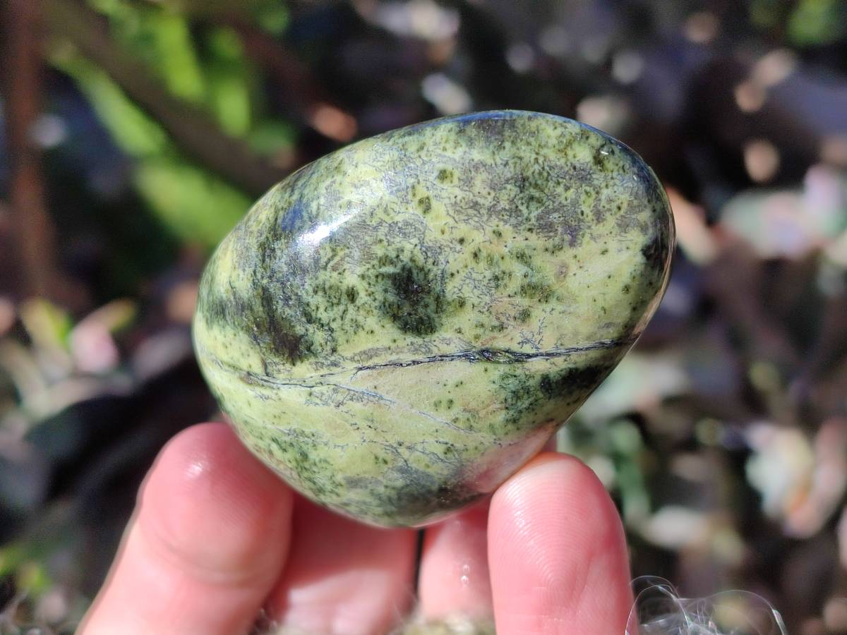 Polished Leopard Stone Palm Stones x 7 From Nyanga, Zimbabwe - Toprock Gemstones and Minerals 