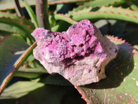 Natural Drusy Salrose on Dolomite Matrix Specimens x 4 From Kakanda, Congo - Toprock Gemstones and Minerals 