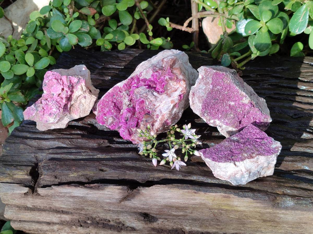 Natural Drusy Salrose on Dolomite Matrix Specimens x 4 From Kakanda, Congo - Toprock Gemstones and Minerals 