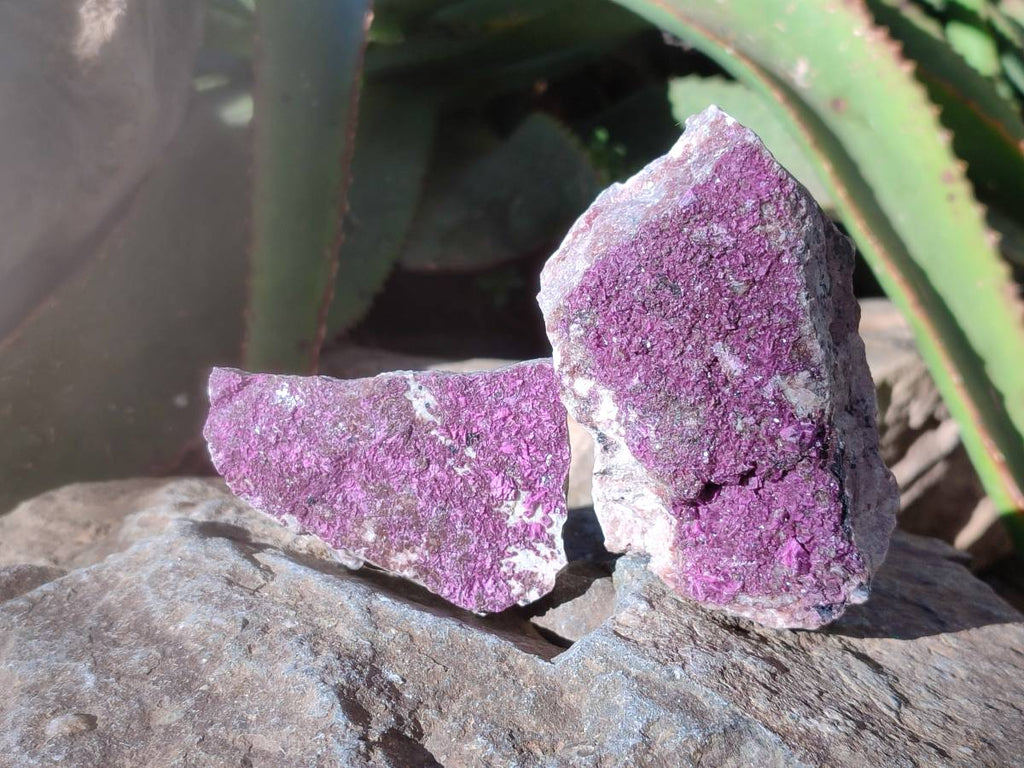 Natural Drusy Salrose on Dolomite Matrix Specimens x 4 From Kakanda, Congo - Toprock Gemstones and Minerals 