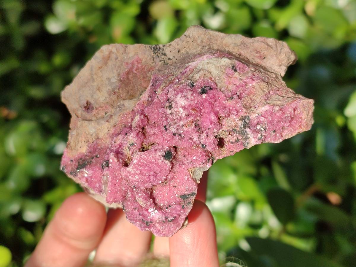 Natural Drusy Salrose on Dolomite Matrix Specimens x 4 From Kakanda, Congo - Toprock Gemstones and Minerals 