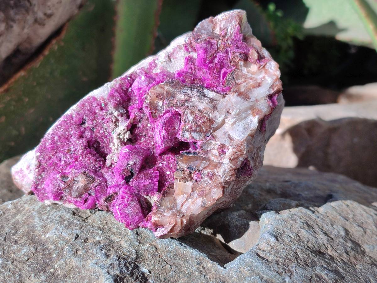 Natural Drusy Salrose on Dolomite Matrix Specimens x 4 From Kakanda, Congo - Toprock Gemstones and Minerals 