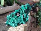 Natural Silky Malachite Specimens x 2 From Kasompe, Congo - Toprock Gemstones and Minerals 