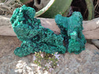 Natural Silky Malachite Specimens x 2 From Kasompe, Congo - Toprock Gemstones and Minerals 