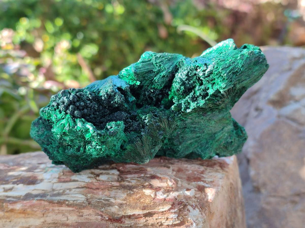 Natural Silky Malachite Specimens x 2 From Kasompe, Congo - Toprock Gemstones and Minerals 