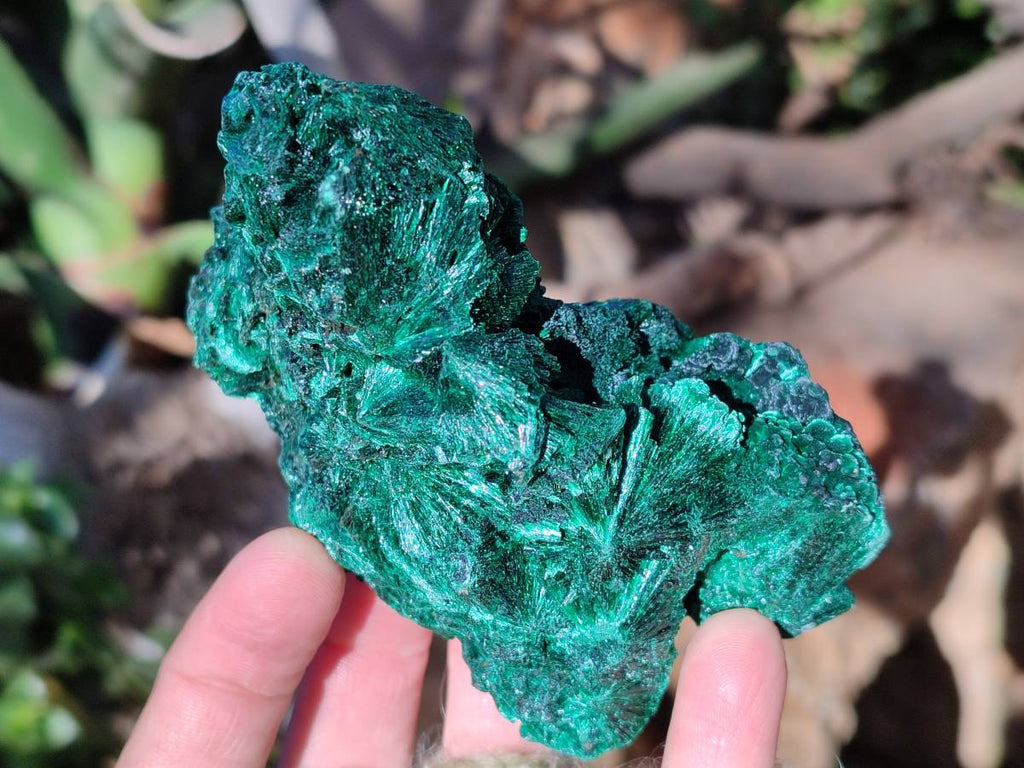 Natural Silky Malachite Specimens x 2 From Kasompe, Congo - Toprock Gemstones and Minerals 
