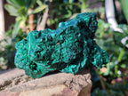 Natural Silky Malachite Specimens x 2 From Kasompe, Congo - Toprock Gemstones and Minerals 