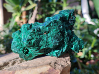 Natural Silky Malachite Specimens x 2 From Kasompe, Congo - Toprock Gemstones and Minerals 