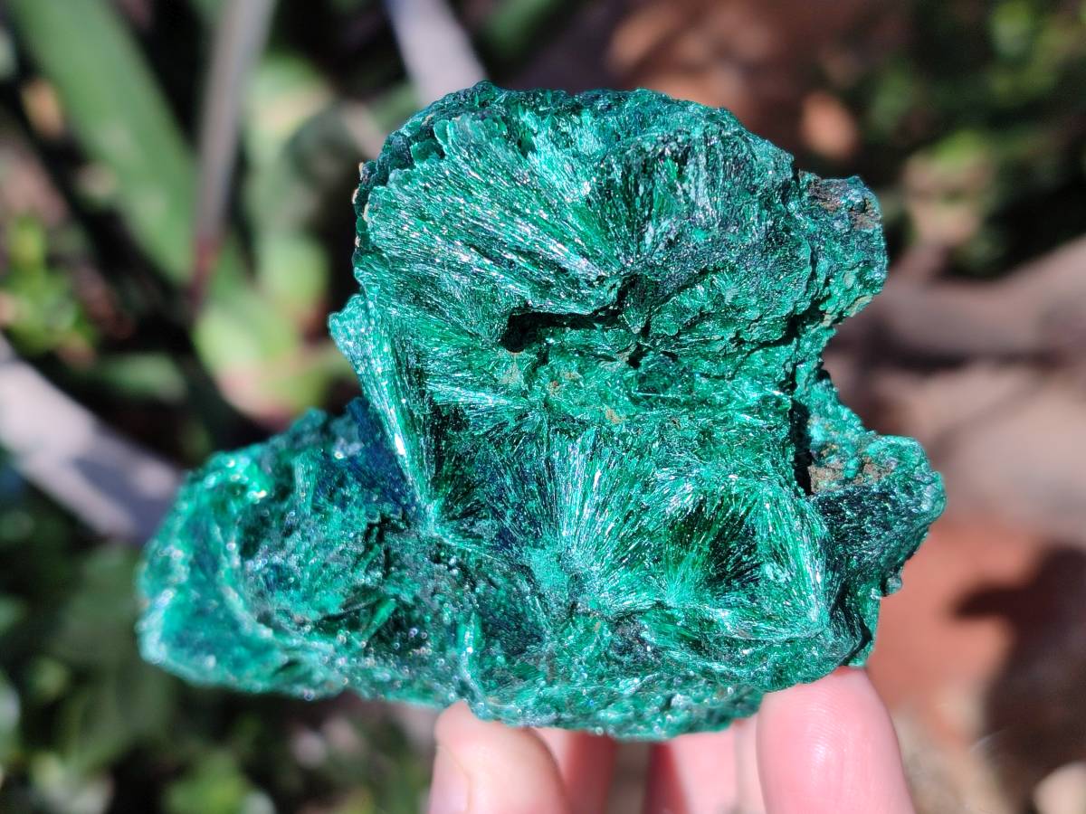 Natural Silky Malachite Specimens x 2 From Kasompe, Congo - Toprock Gemstones and Minerals 