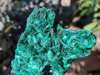 Natural Silky Malachite Specimens x 2 From Kasompe, Congo - Toprock Gemstones and Minerals 