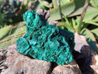 Natural Silky Malachite Specimens x 2 From Kasompe, Congo - Toprock Gemstones and Minerals 