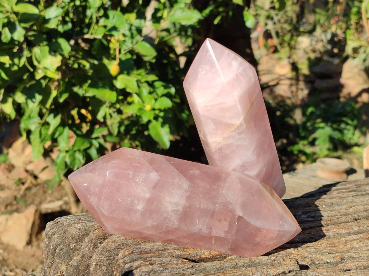Polished Double Terminated Rose Quartz Points x 2 Ambatondrazaka, Madagascar - Toprock Gemstones and Minerals 
