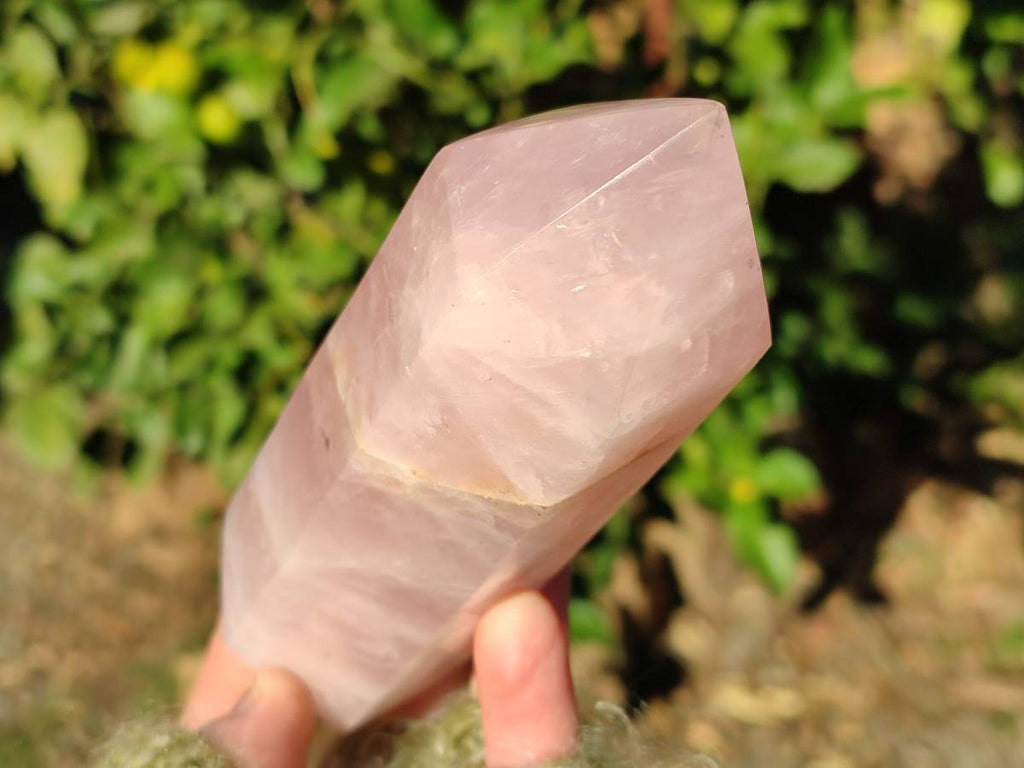 Polished Double Terminated Rose Quartz Points x 2 Ambatondrazaka, Madagascar - Toprock Gemstones and Minerals 