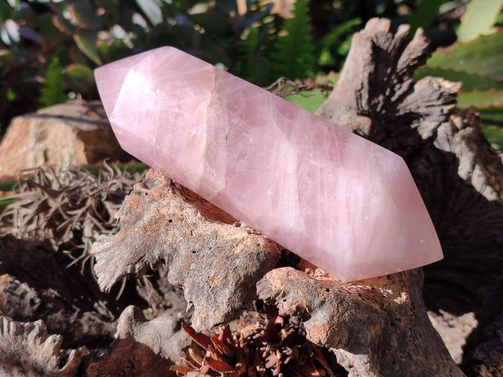 Polished Double Terminated Rose Quartz Points x 2 Ambatondrazaka, Madagascar - Toprock Gemstones and Minerals 