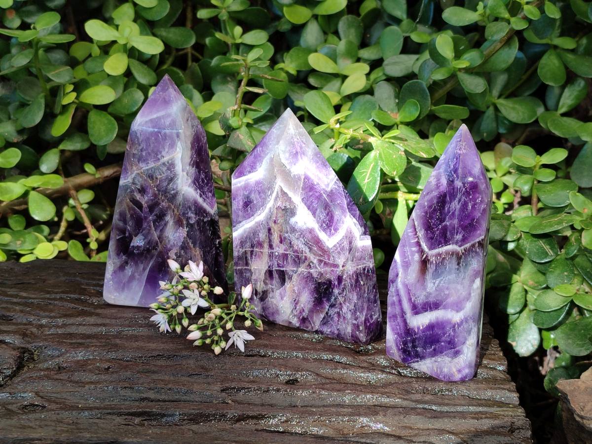 Polished Chevron Amethyst Points x 3 from Ankazobe, Madagascar - Toprock Gemstones and Minerals 