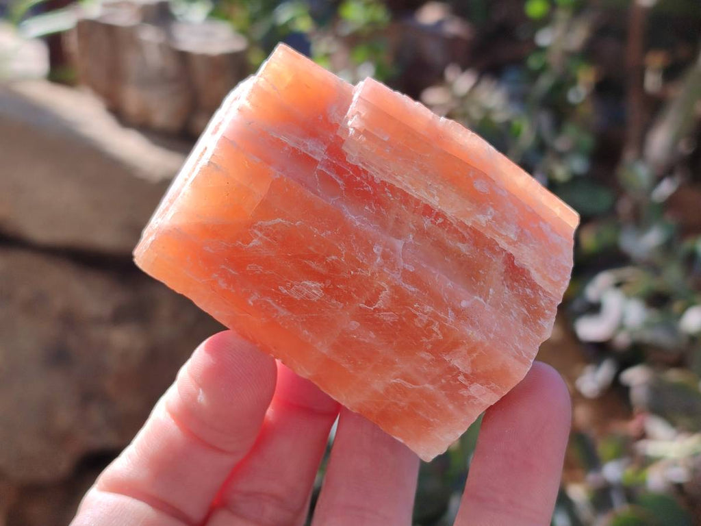 Natural Sunset Orange Calcite Specimens x 12 From Spitzkop, Namibia - Toprock Gemstones and Minerals 