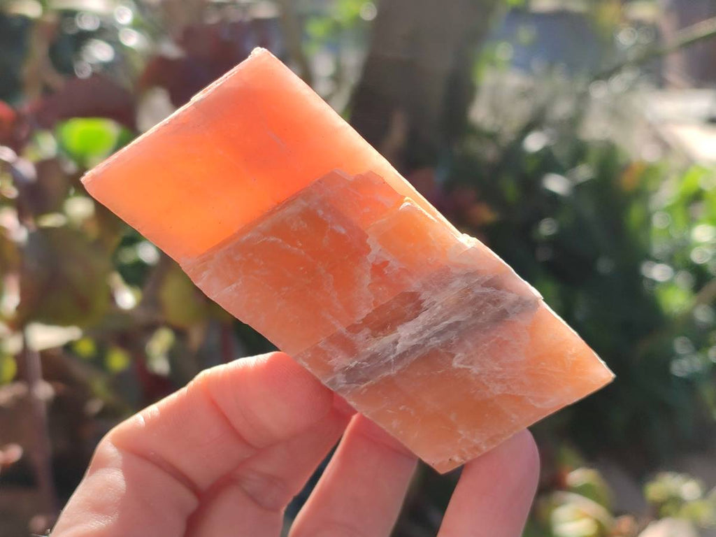 Natural Sunset Orange Calcite Specimens x 12 From Spitzkop, Namibia - Toprock Gemstones and Minerals 