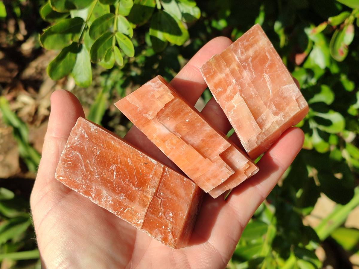 Natural Sunset Orange Calcite Specimens x 12 From Spitzkop, Namibia - Toprock Gemstones and Minerals 