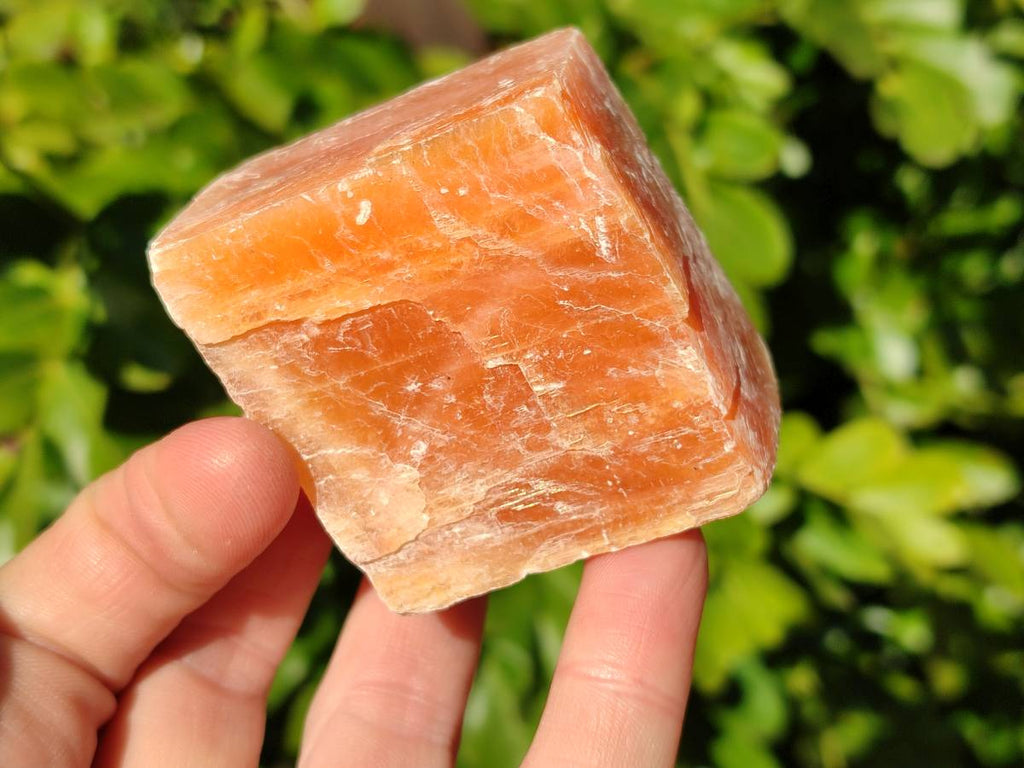 Natural Sunset Orange Calcite Specimens x 12 From Spitzkop, Namibia - Toprock Gemstones and Minerals 