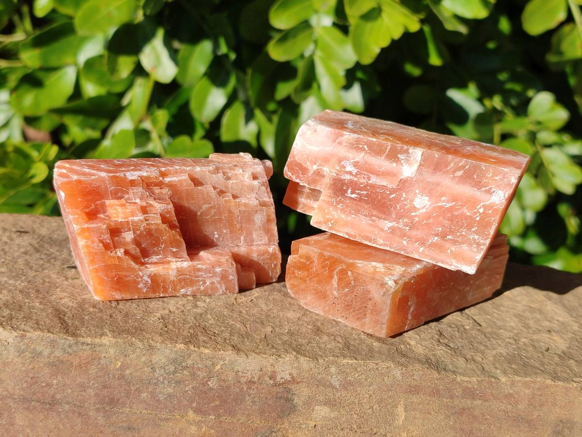 Natural Sunset Orange Calcite Specimens x 12 From Spitzkop, Namibia - Toprock Gemstones and Minerals 
