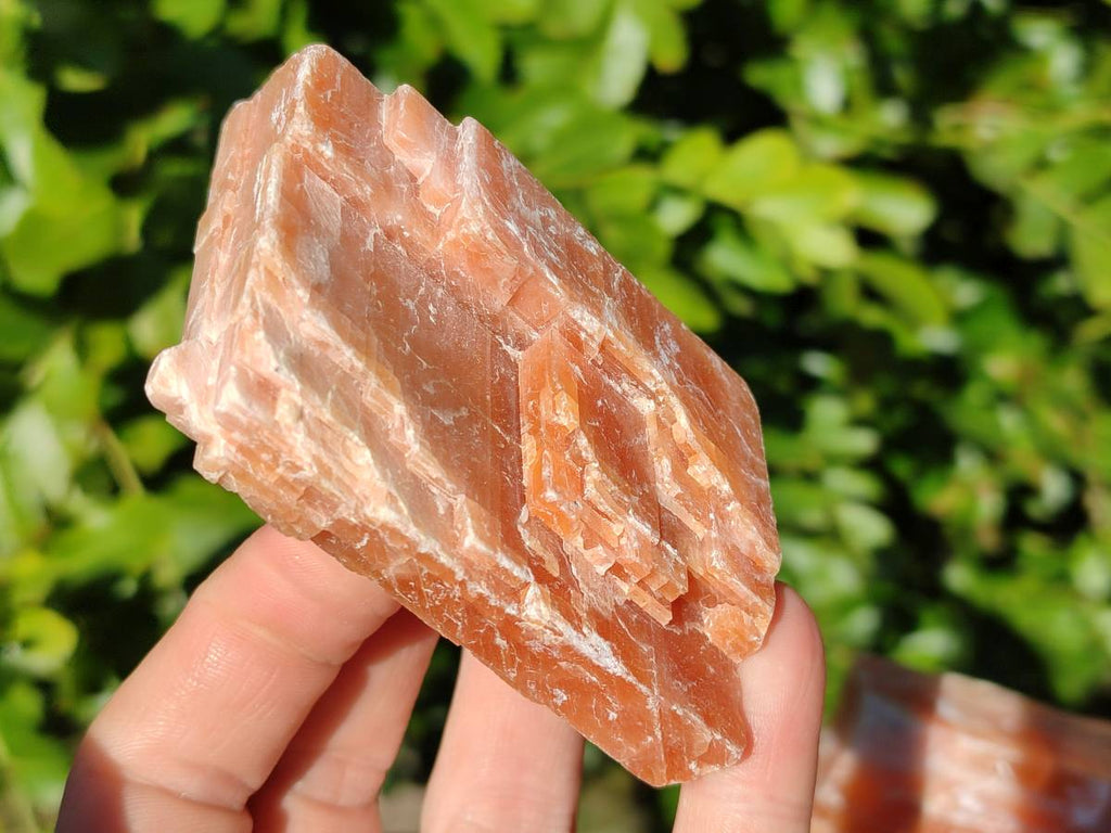 Natural Sunset Orange Calcite Specimens x 12 From Spitzkop, Namibia - Toprock Gemstones and Minerals 
