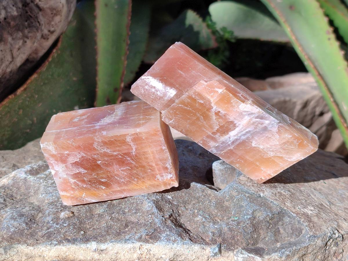 Natural Sunset Orange Calcite Specimens x 12 From Spitzkop, Namibia - Toprock Gemstones and Minerals 