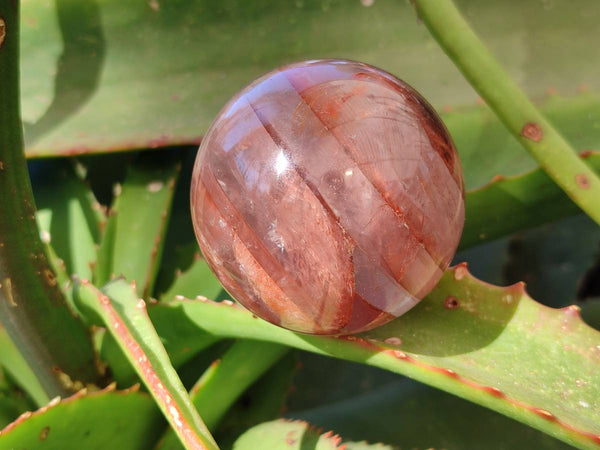 Polished Red Hematoid Quartz Spheres x 6 From Ambatondrazaka, Madagascar