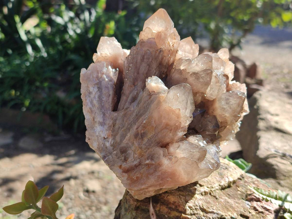 Natural Phantom Smokey Quartz Cluster x 1 From Luena, Congo - Toprock Gemstones and Minerals 
