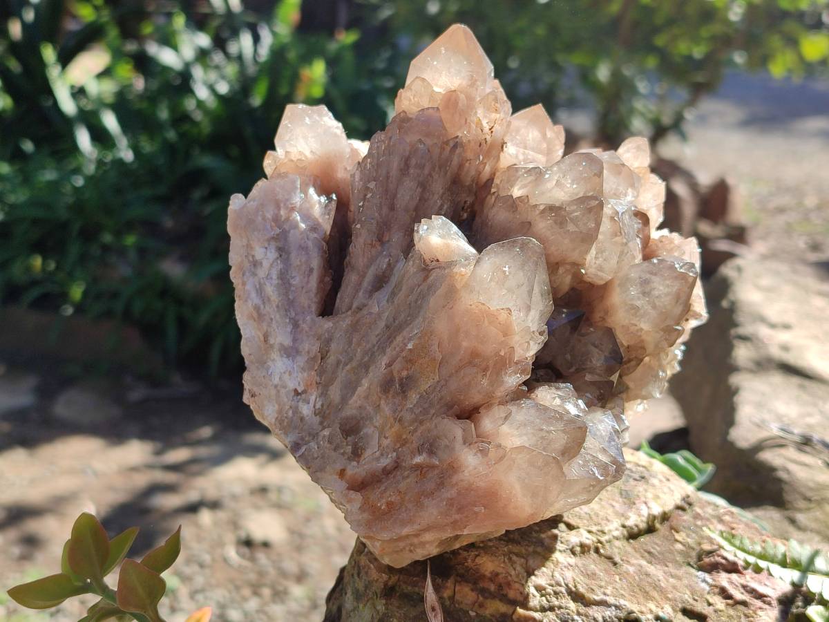 Natural Phantom Smokey Quartz Cluster x 1 From Luena, Congo - Toprock Gemstones and Minerals 