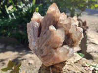 Natural Phantom Smokey Quartz Cluster x 1 From Luena, Congo