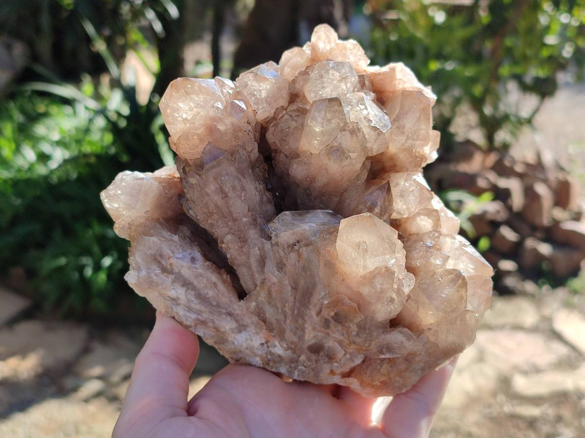Natural Phantom Smokey Quartz Cluster x 1 From Luena, Congo - Toprock Gemstones and Minerals 