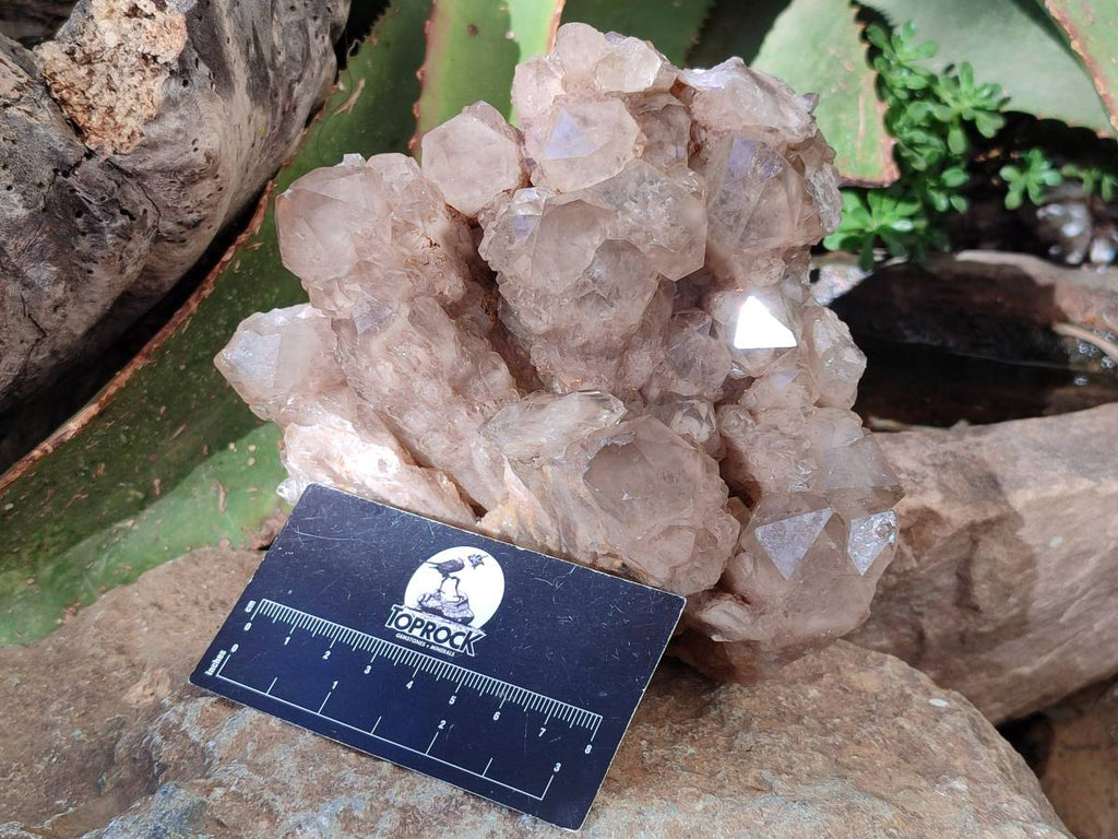 Natural Phantom Smokey Quartz Cluster x 1 From Luena, Congo - Toprock Gemstones and Minerals 