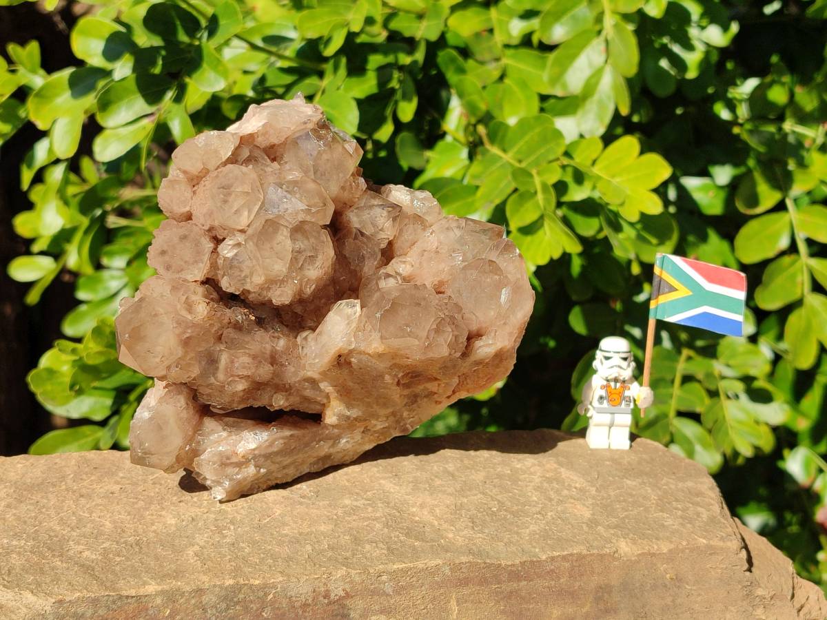 Natural Phantom Smokey Quartz Cluster x 1 From Luena, Congo - Toprock Gemstones and Minerals 