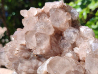 Natural Phantom Smokey Quartz Cluster x 1 From Luena, Congo