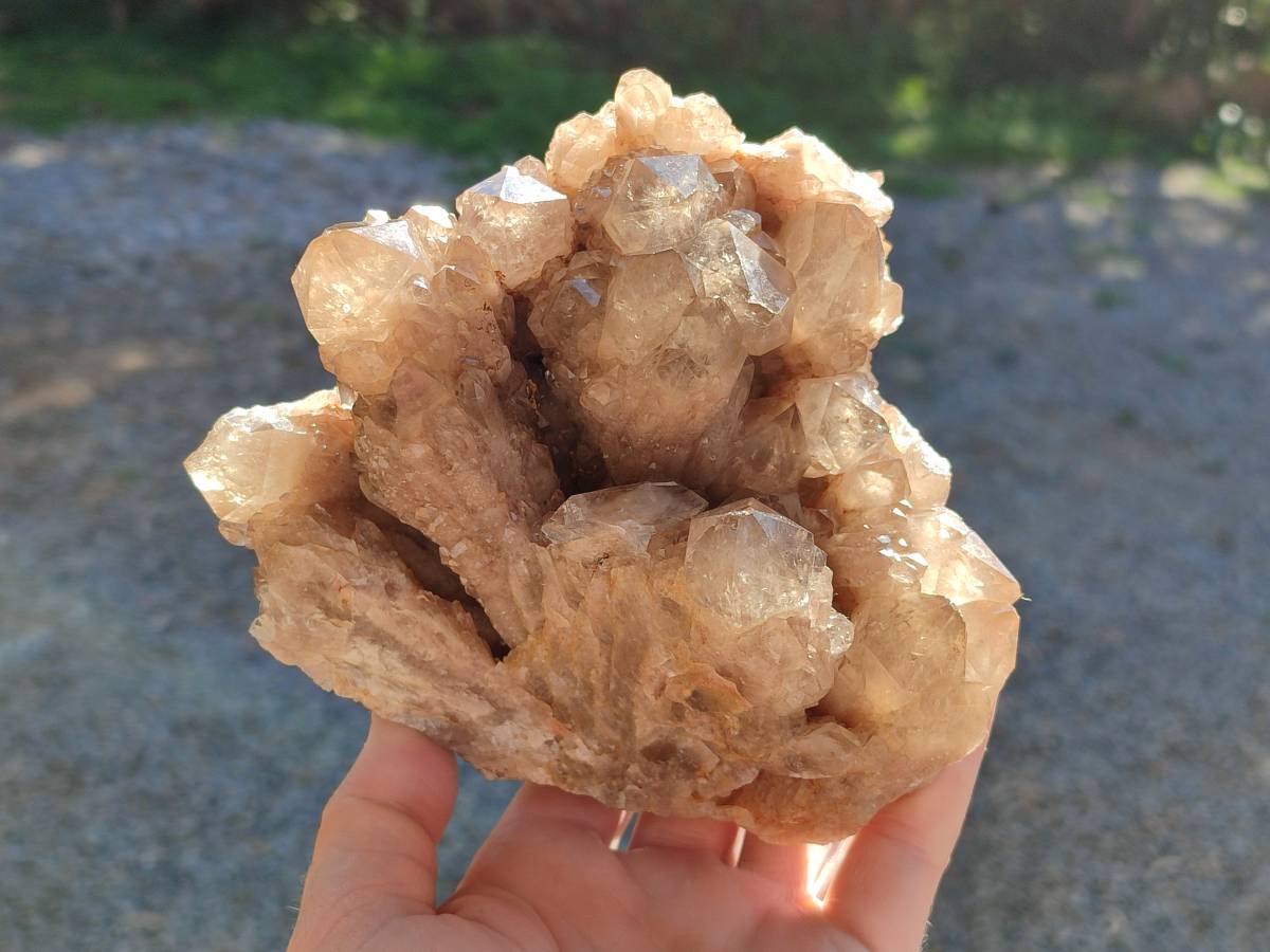 Natural Phantom Smokey Quartz Cluster x 1 From Luena, Congo - Toprock Gemstones and Minerals 