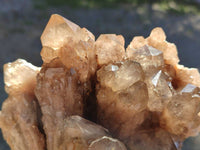 Natural Phantom Smokey Quartz Cluster x 1 From Luena, Congo